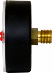 Манометр аксиальный Watts F+R101(MHA) 80/4x1/4"