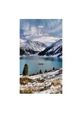 Газовый проточный водонагреватель ДОН JSD-20 EGFT Winter Mountains