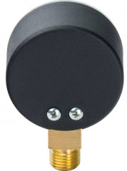 Манометр радиальный Watts F+R200 (MDR) 63/ 10x1/4"