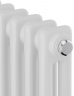 Стальной трубчатый радиатор 2-колончатый Royal Thermo Insignia VC2180 - 06 секц. RAL9016, нижнее 1/2
