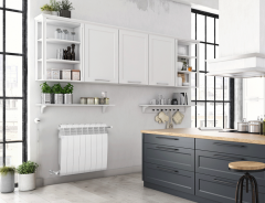 Биметаллический радиатор Royal Thermo BiLiner 500 Bianco Traffico 4 секц.