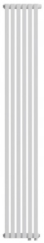 Стальной трубчатый радиатор 2-колончатый Royal Thermo Shift Q30 VC2180 - 06 секц. RAL9016, нижнее 1/2