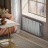 Биметаллический радиатор Royal Thermo PianoForte 300 Silver Satin - 10 секц.