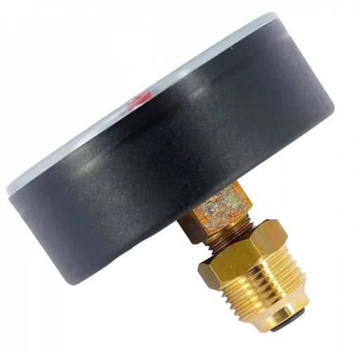 Термоманометр аксиальный Watts FR 818 (TMAX) 6 бар