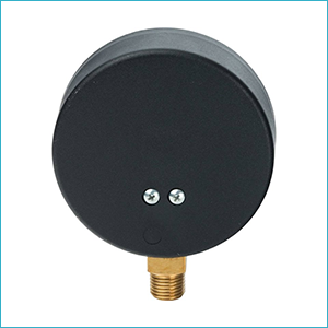 Термоманометр радиальный Watts FR 828(TMRA) 4x1/2"